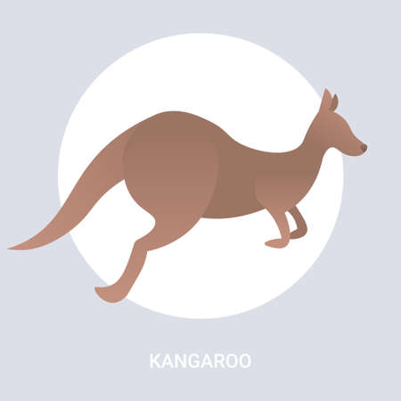 kangaroo icon cartoon endangered wild australian animal symbol wildlife species fauna concept flat vector illustrationのイラスト素材