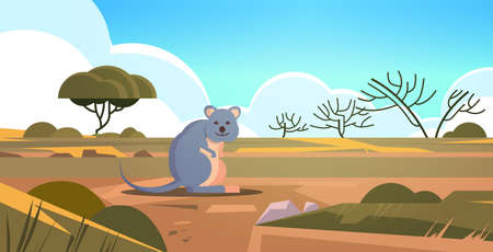 quokka enjoying the sun in australia desert australian wild animal wildlife fauna concept landscape background horizontal vector illustrationのイラスト素材