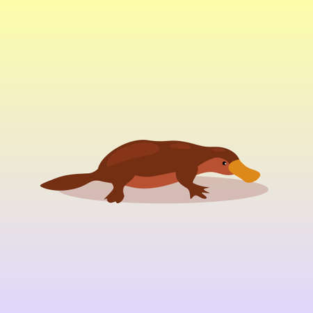 platypus icon cartoon endangered wild australian animal symbol wildlife species fauna concept flat vector illustrationのイラスト素材