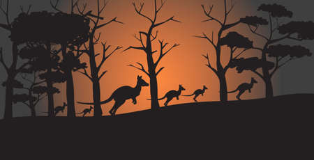 silhouettes of kangaroos running from forest fires in australia animals dying in wildfire bushfire natural disaster concept horizontal vector illustrationのイラスト素材