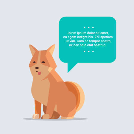 cute shiba inu dog with chat bubble speech furry human friend home pet concept cartoon animal full length vector illustrationのイラスト素材