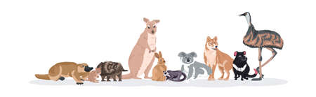 cartoon endangered wild australian animals tasmanian devil echidna ostrich platypus koala kangaroo rabbit wolf quokka icons wildlife species fauna concept flat horizontal vector illustrationのイラスト素材