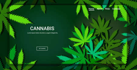 cannabis or marijuana leaves background drug consumption concept horizontal copy space vector...
