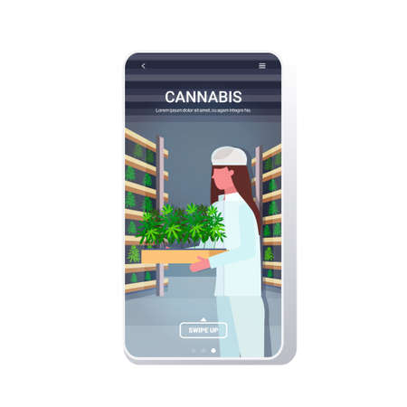 woman carrying cannabis plants industrial hemp plantation interior legal cbd marijuana concept drug consumption agribusiness smartphone screen mobile app copy space portrait vector illustrationのイラスト素材