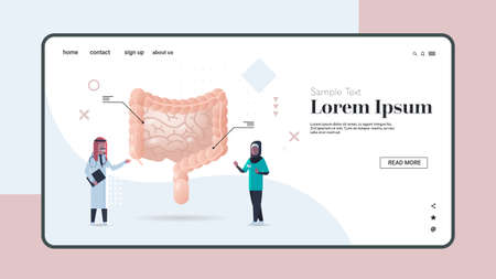 arab doctors examining human intestine digestive system medical consultation internal organ inspection examination treatment concept horizontal copy space full length vector illustrationのイラスト素材