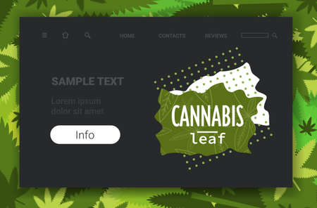 medical cannabis or marijuana leaves hemp legalize drug consumption concept horizontal copy space vector illustrationのイラスト素材