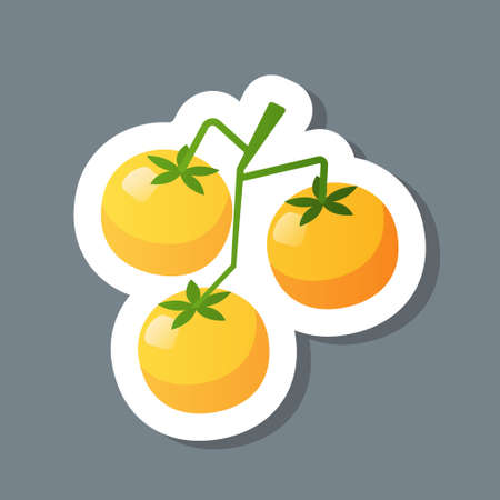 fresh yellow crerry tomato branch sticker tasty vegetable icon healthy food concept vector illustrationのイラスト素材