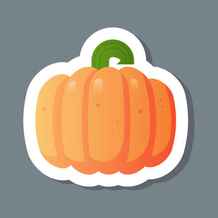 fresh orange pumpkin sticker tasty vegetable icon healthy food concept vector illustrationのイラスト素材