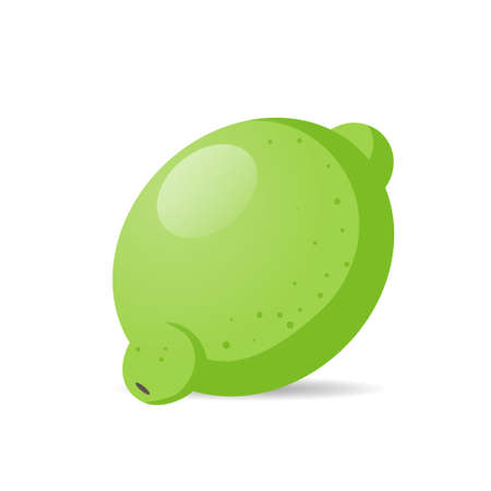 fresh juicy lime icon tasty ripe fruit isolated on white background healthy food concept vector illustrationのイラスト素材