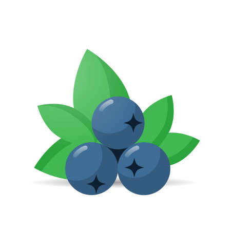 fresh juicy blueberry icon tasty ripe fruit isolated on white background healthy food concept vector illustrationのイラスト素材