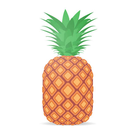 fresh juicy pineapple icon tasty ripe fruit isolated on white background healthy food concept vector illustrationのイラスト素材