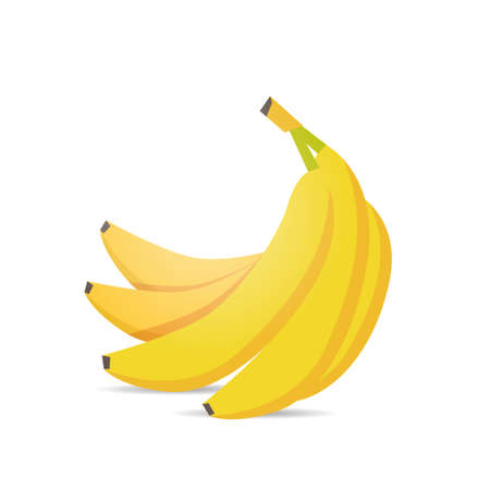 fresh juicy bananas icon tasty ripe fruits isolated on white background healthy food concept vector illustrationのイラスト素材