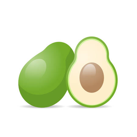 fresh juicy avocado icon tasty ripe fruit isolated on white background healthy food concept vector illustrationのイラスト素材