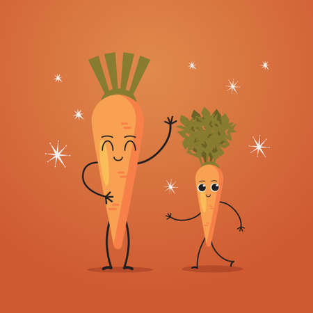 cute carrot characters couple funny cartoon mascot vegetable personages healthy food concept vector illustrationのイラスト素材