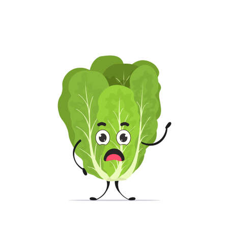cute romaine character cartoon mascot vegetable healthy food concept isolated vector illustrationのイラスト素材
