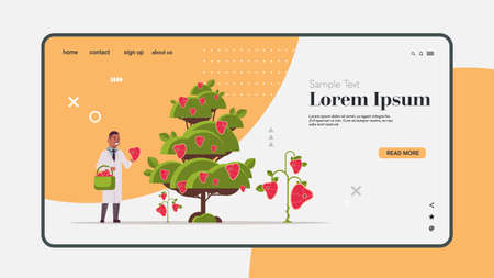 male scientist picking plant based vegetarian steak beyond meat from tree organic natural vegan food concept horizontal full length copy space vector illustrationのイラスト素材