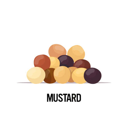 mustard seeds organic healthy vegetarian food on white background vector illustrationのイラスト素材
