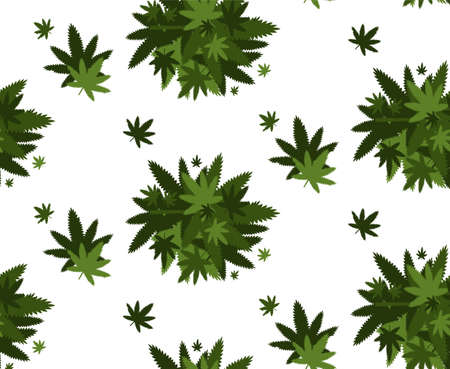 medical cannabis or marijuana leaves background hemp legalize drug consumption concept vector illustrationのイラスト素材