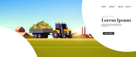 tractor with trailer full of fresh ripe harvested vegetables organic food seasonal products...