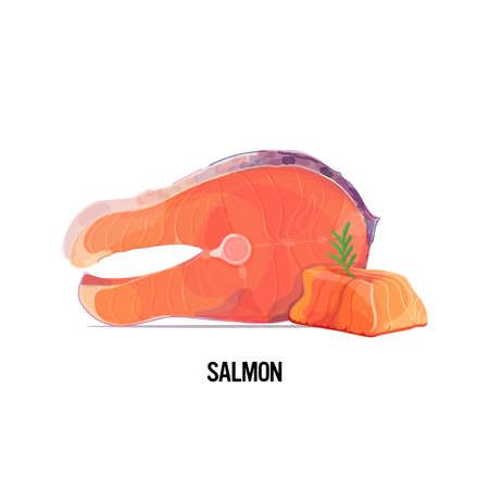 fresh raw salmon steak slice with rosemary isolated on white background vector illustrationのイラスト素材