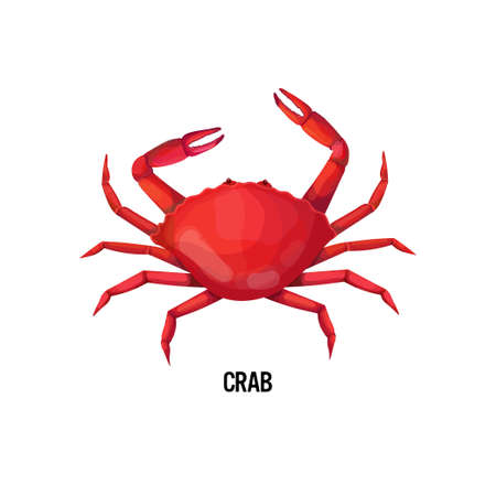fresh crab isolated on white background seafood concept vector illustrationのイラスト素材