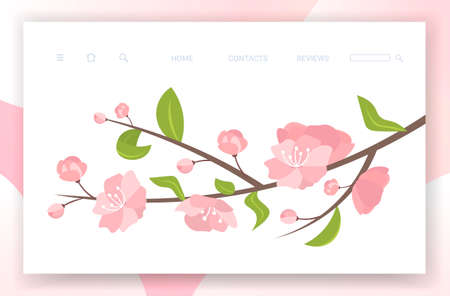 pink sakura flowers with leaves on blooming branch spring botanical greeting card horizontalのイラスト素材