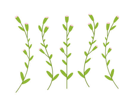 botanical floral set green plants branches with leaves realistic herbs collection horizontalのイラスト素材