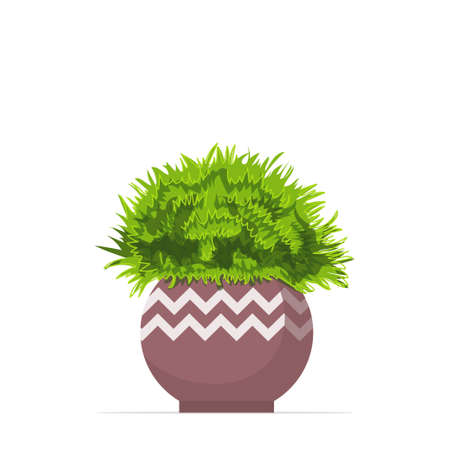 decorative houseplant planted in ceramic pot garden potted plantsのイラスト素材