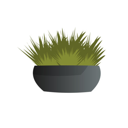 potted plant isolated on white backgroundのイラスト素材