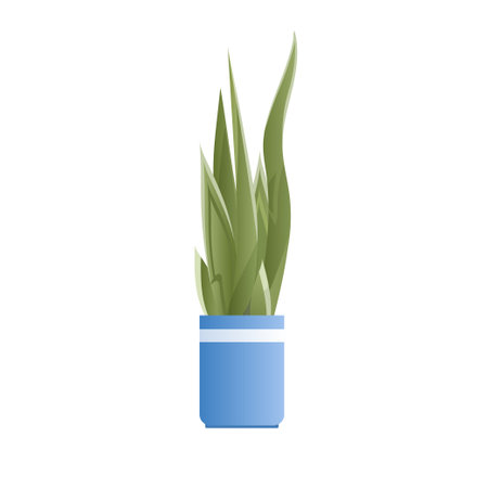 potted plant isolated on white backgroundのイラスト素材