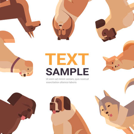 group of purebred dogs furry human friends home pets collection concept cartoon animals set portrait copy spaceのイラスト素材