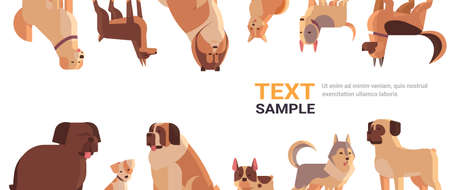 group of purebred dogs furry human friends home pets collection concept cartoon animals set portrait copy space horizontalのイラスト素材