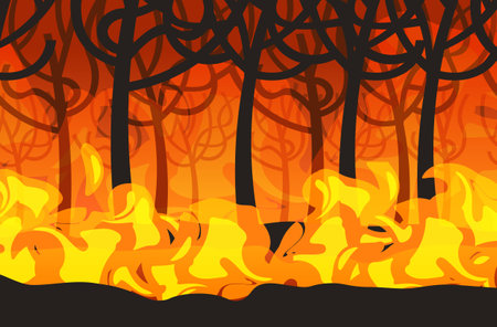 dangerous wildfire bush fire development dry woods burning trees global warming natural disaster concept intense orange flames horizontalのイラスト素材