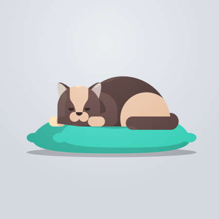 cute cat sleeping on pillow fluffy adorable cartoon animal domestic kitty home pet concept flat full lengthのイラスト素材