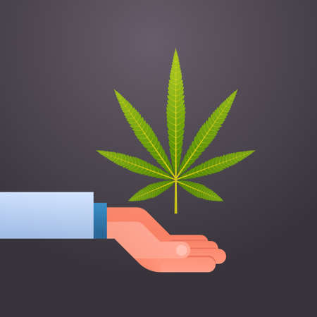 hand holding marijuana cannabis leaf drug consumption concept flatのイラスト素材