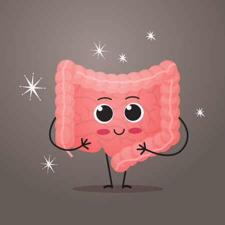 cute internal organ character human large and small intestine digestive system gastrointestinal tract anatomy biology healthcare medicine conceptのイラスト素材
