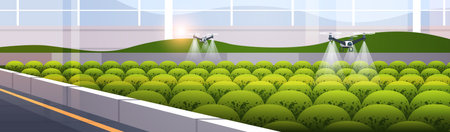Agricultural drones sprayers quad copters flying to spray chemical fertilizers in greenhouse smart farming innovationのイラスト素材