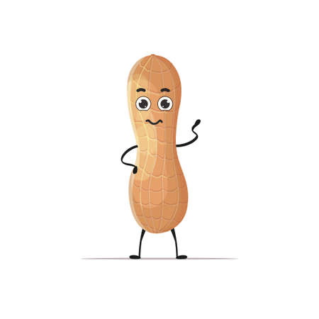 cute peanut character cartoon mascot nut healthy vegetarian food concept isolatedのイラスト素材