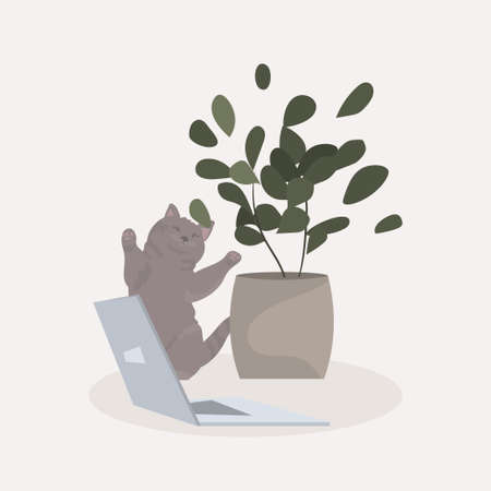 cat laptop and potted plant work from home self isolation conceptのイラスト素材