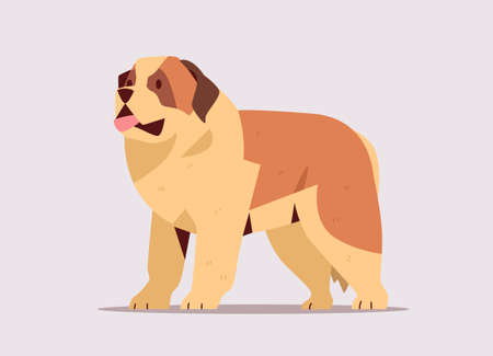 Short-haired saint bernard dog icon furry human friend domestic animal concept full lengthのイラスト素材