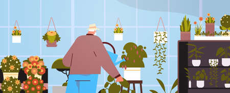 senior man gardener with watering can taking care of potted plants at home garden living room or office interiorのイラスト素材