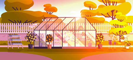 backyard planting greenhouse glass orangery botanical garden with flowers and potted plants horizontalのイラスト素材