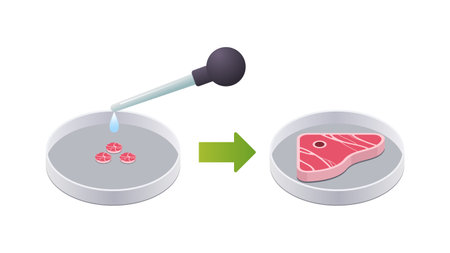 petri dish with beef steak cultured raw red meat made from animal cells artificial lab grown meat production conceptのイラスト素材