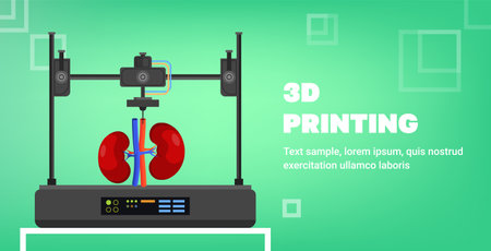 kidneys model prints on 3d bio printer medical printing of human transplantation organ biological...