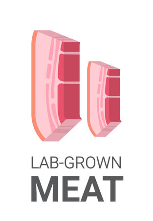 cultured raw red meat bacon made from animal cells artificial lab grown meat production conceptのイラスト素材