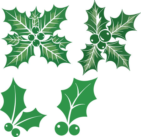 Illustration of three holly berry sprigs with green leaves and berries, perfect for Christmas decorations and holiday designs.のイラスト素材