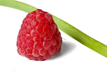 Red raspberry with a tasty green chive on isolated white background.の写真素材