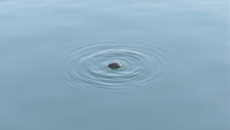 Tranquil circular stone with symmetrical ripples in clear waterの素材