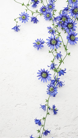 Whitewashed stucco wall with blue passionflower vines climbing in intricate patternsの素材