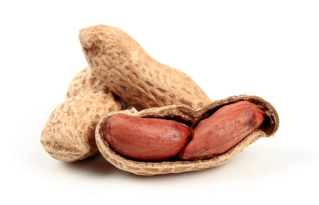peanut in shell open and closed on a white background